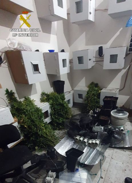 La Guardia Civil desmantela una plantación de marihuana en la pedanía pachequera de Roldán - 4, Foto 4