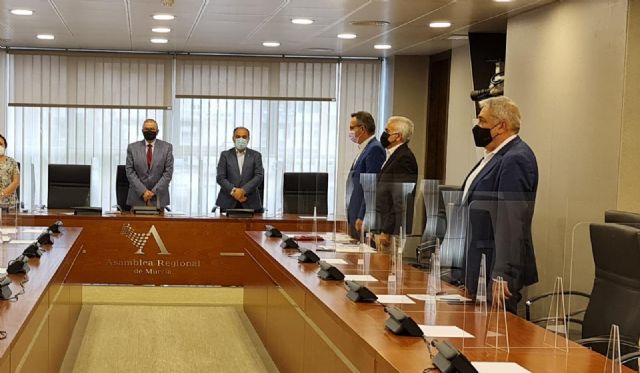 El GP Ciudadanos reprocha al PSOE que impida una declaración institucional a favor de Juan de la Cierva - 1, Foto 1