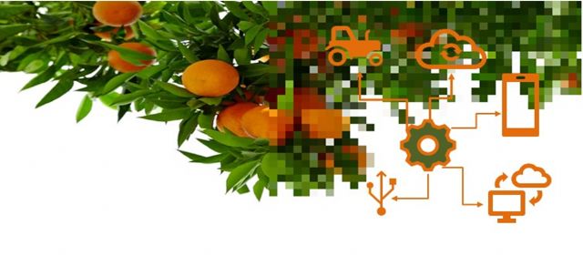 CITRUSTECH organiza un evento online para analizar los avances tecnológicos para la modernización y sostenibilidad en cítricos - 1, Foto 1