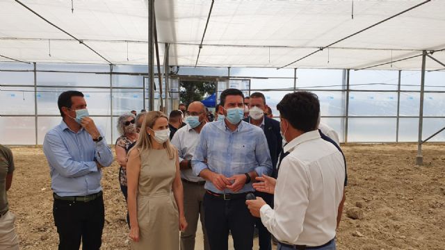 El Centro de Innovación de la Flor Cortada se pone en marcha con una investigación sobre resistencia del clavel a enfermedades y plagas - 1, Foto 1