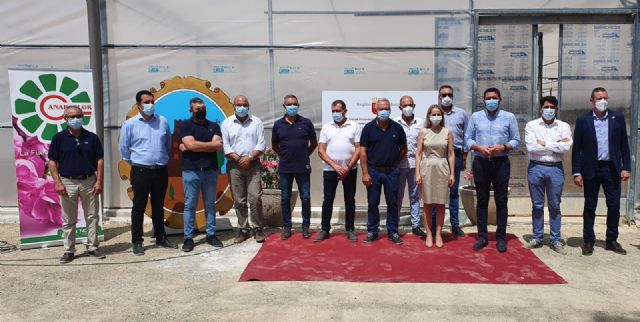 El Centro de Innovación de la Flor Cortada se pone en marcha con una investigación sobre resistencia del clavel a enfermedades y plagas - 2, Foto 2