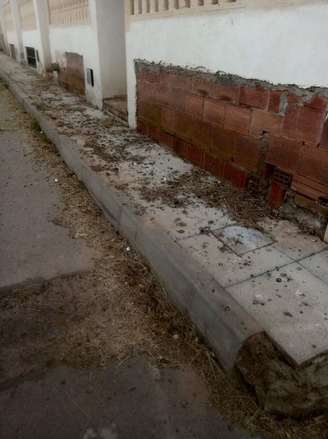 IU-Verdes Lorca denuncia el estado de abandono de Zarcilla de Ramos - 2, Foto 2