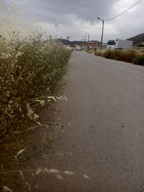 IU-Verdes Lorca denuncia el estado de abandono de Zarcilla de Ramos - 3, Foto 3