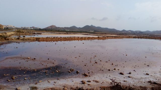 PCC: La Comunidad incumple con la creación del paseo medioambiental de las Salinas de Marchamalo - 2, Foto 2