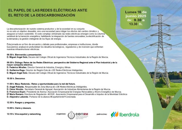 Los ingenieros técnicos industriales analizan El papel de las Redes Eléctricas ante el reto de la descarbonización - 1, Foto 1