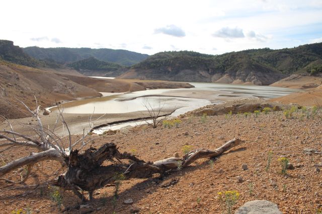 El MITECO aprueba la revisi�n del Plan Especial de Sequ�a de la cuenca del Segura, Foto 2