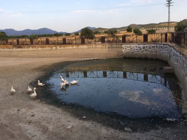 El PSOE solicita la reparación urgente del estanque de Doña Inés para evitar la pérdida de este espacio natural - 1, Foto 1
