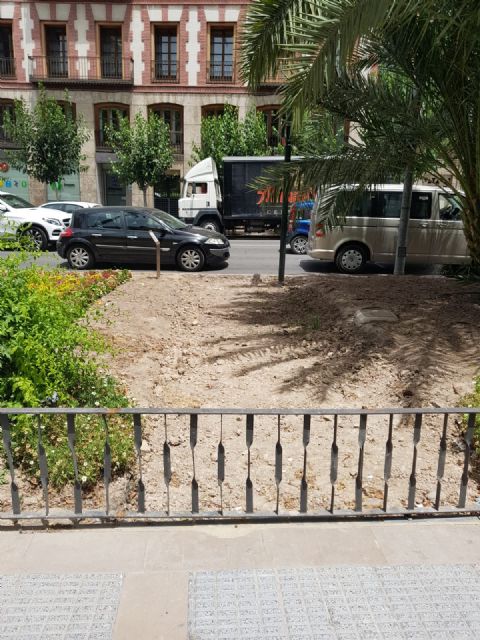 Miles de amapolas Californianas crecerán por primera vez en los jardines de Murcia - 4, Foto 4