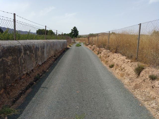 IU-verdes denuncia que los caminos asfaltados en 2020 dejan mucho que desear - 4, Foto 4