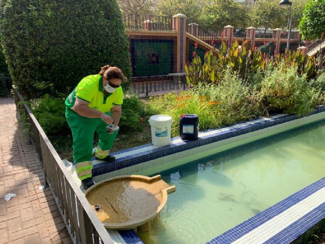 El Ayuntamiento de Murcia revitaliza las fuentes y lagos del municipio gracias al Plan Alberca - 2, Foto 2