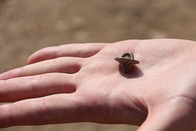 Nuevos hallazgos en El Murtal y Las Paleras consolidan estos yacimientos entre los ms importantes de la Regin, Foto 5