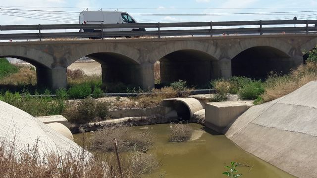Fulgencio Gil exige que se proceda de forma urgente al mantenimiento, limpieza y desbroce de la zona de la antigua carretera de Águilas a su paso por Purias - 4, Foto 4