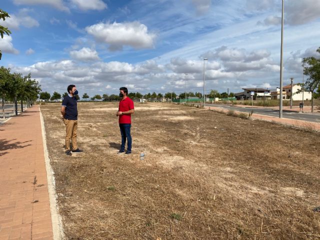 Limpieza de solares en el municipio de Torre Pacheco - 1, Foto 1