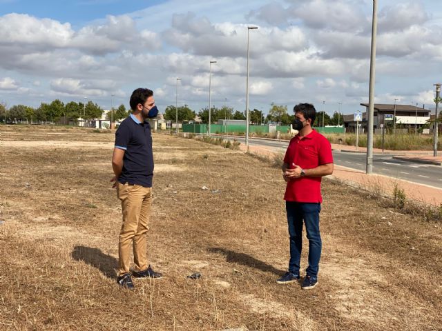 Limpieza de solares en el municipio de Torre Pacheco - 4, Foto 4