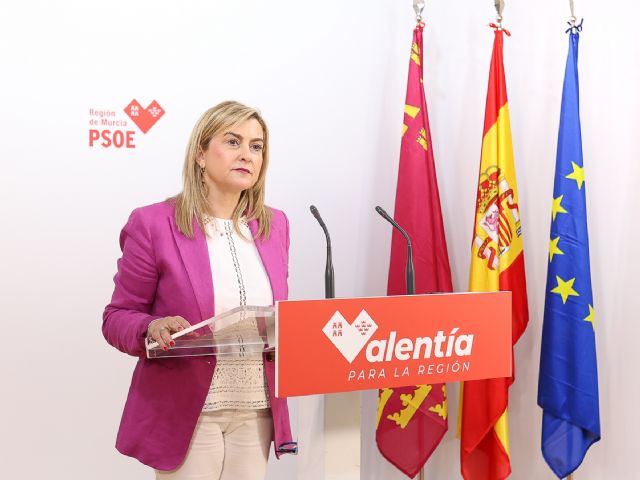 El PSOE pide un debate monográfico en la Asamblea Regional sobre políticas contra el racismo y la xenofobia para evitar lo sucedido en Torre Pacheco - 1, Foto 1