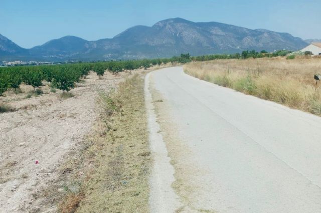 El Gobierno de Lorca desbroza más de 600 kilómetros de carreteras tras la proliferación de vegetación por las lluvias tardías de la primavera - 3, Foto 3