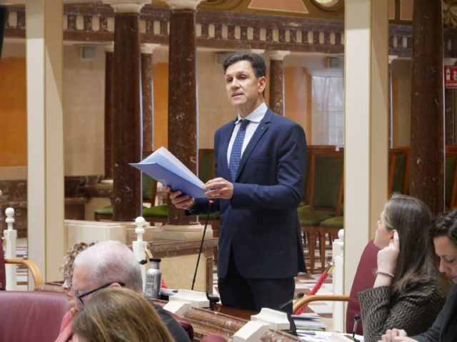 Cer�n: 'La desesperaci�n del PSOE por tapar la corrupci�n de la familia S�nchez le lleva a persistir en su sucia campa&ntilde;a de mentiras y alarmismo ante los incendios'