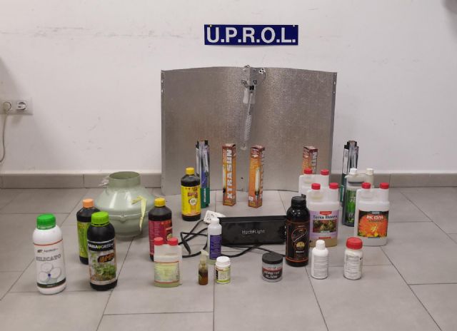 La Policía Local desmantela una plantación de marihuana que contaba con un total de 60 plantas en fase de floración en el interior de una vivienda del casco urbano de Lorca - 2, Foto 2