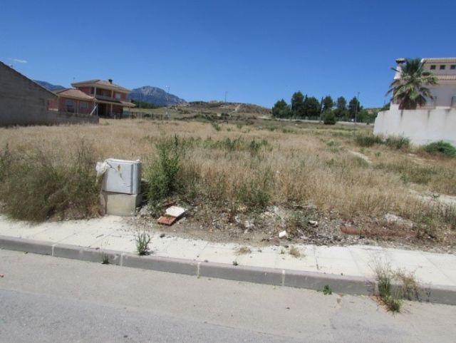 El Ayuntamiento de Lorca dicta 11 expedientes de órdenes de ejecución de limpieza de solares en la pedanía de La Parroquia - 1, Foto 1