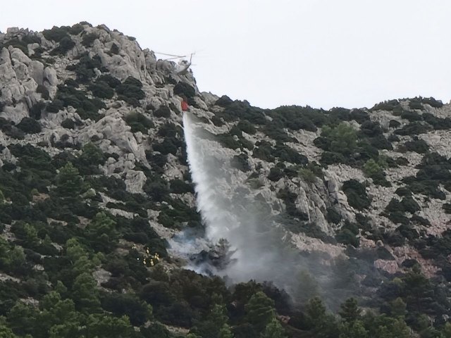 Incendio forestal en la sierra del Gigante (Lorca) - 2, Foto 2