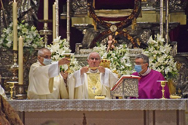 Manuel Sánchez Sánchez, predicador de la Novena a la Virgen de los Reyes: “Mi propuesta es descubrir la voluntad de Dios que nos enseña nuestra Señora” - 4, Foto 4