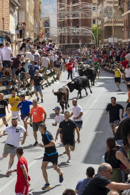 Un último encierro con los astados de Castillejo de Huebra rápido y limpio en las Fiestas Patronales de Blanca 2023 - 1, Foto 1