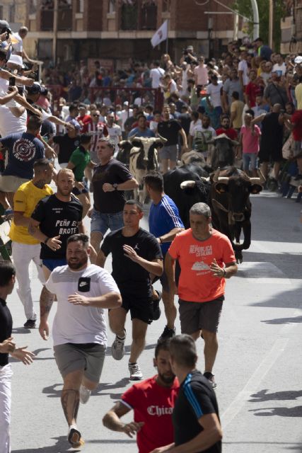 Un último encierro con los astados de Castillejo de Huebra rápido y limpio en las Fiestas Patronales de Blanca 2023 - 2, Foto 2