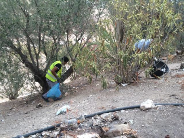 Perform a comprehensive cleaning the area of ​​the Arc of Olleras and Garden of the Fountain of San Pedro, Foto 8