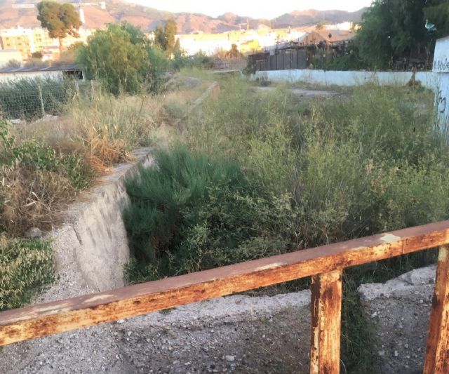 Mateos exige a Gil Jódar que se plante ante la Confederación Hidrográfica y obligue la limpieza de cauces y ramblas ante la previsión de riadas - 2, Foto 2