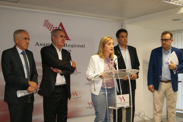 El PSOE reclama en la Asamblea apoyo para la conservación de las minas de Mazarrón y convertir este espacio en un parque temático - 5, Foto 5