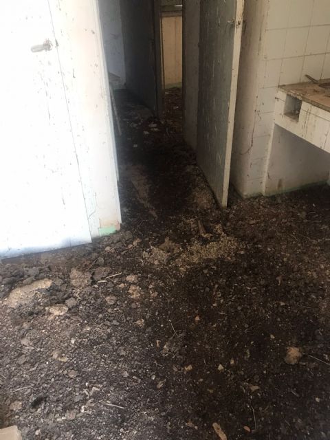 El PP respalda las demandas de los vecinos de La Escarihuela y exige la ejecución inmediata de actuaciones de mantenimiento ante el vergonzoso abandono que sufre la pedanía - 3, Foto 3