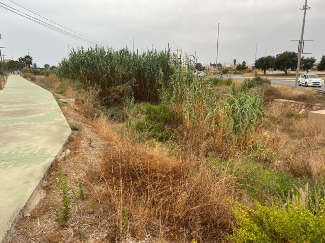 Después de 7 años, el PSOE escucha al Partido Popular y lleva a cabo una limpieza `un poco más profunda´ de los cauces de las ramblas - 1, Foto 1