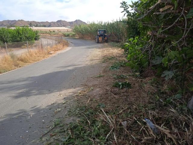 El Ayuntamiento inicio los trabajos de desbroce de caminos rurales asfaltados - 2, Foto 2