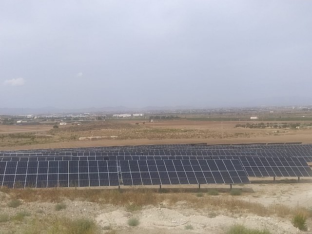 Cada vez son más los colectivos y ciudadanos que se preocupan por el problema de las placas solares - 3, Foto 3