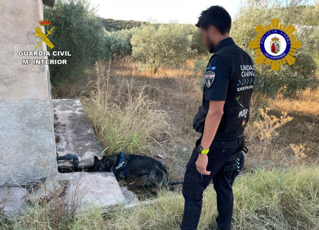 Desmantelan un punto de manipulación y venta de cocaína en Calasparra - 1, Foto 1