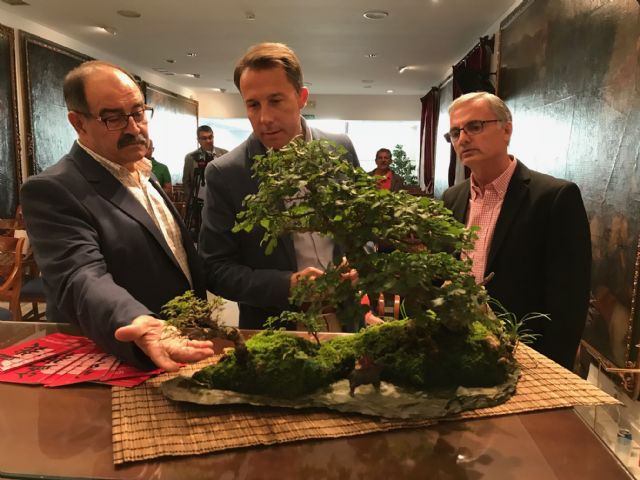 El Centro de Ferias y Congresos acoge del 19 al 21 de octubre el XXVI Congreso Nacional de Bonsái que reunirá a los mayores expertos nacionales - 1, Foto 1