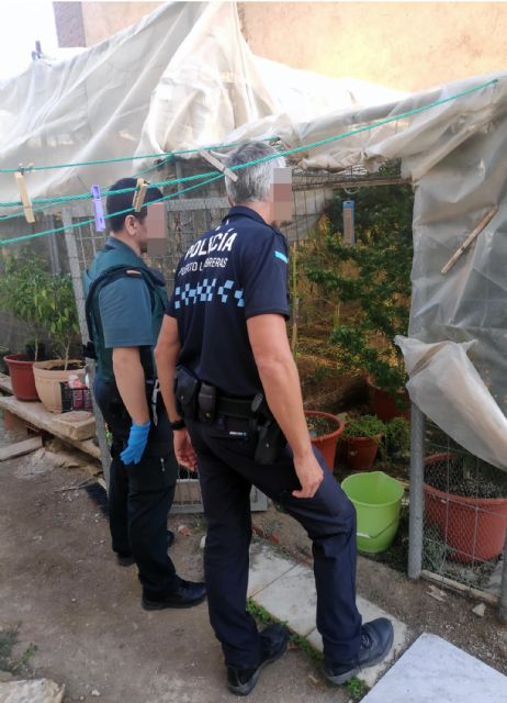 La Guardia Civil desmantela un invernadero clandestino de marihuana en Puerto Lumbreras - 1, Foto 1