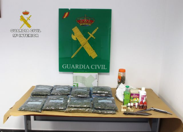 La Guardia Civil desmantela un invernadero clandestino de marihuana en Puerto Lumbreras - 2, Foto 2