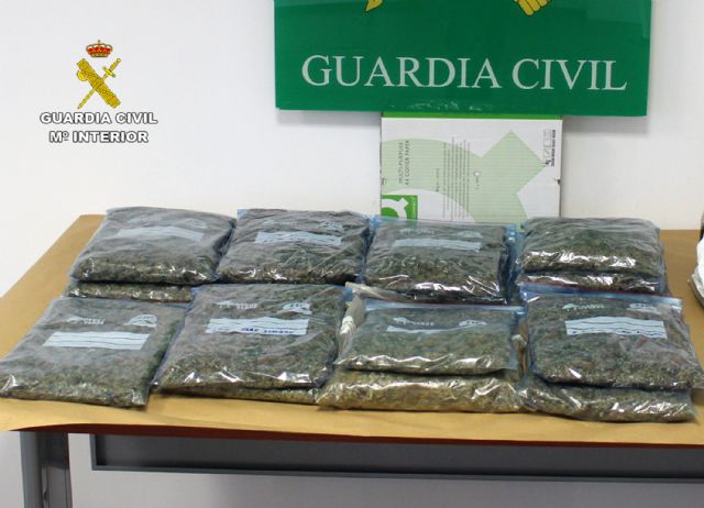 La Guardia Civil desmantela un invernadero clandestino de marihuana en Puerto Lumbreras - 3, Foto 3