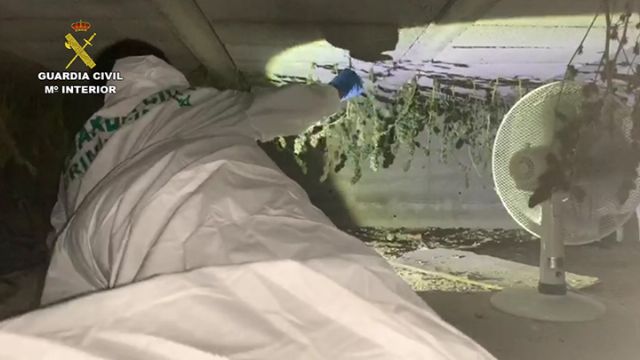 La Guardia Civil desmantela un invernadero clandestino de marihuana en Puerto Lumbreras - 5, Foto 5