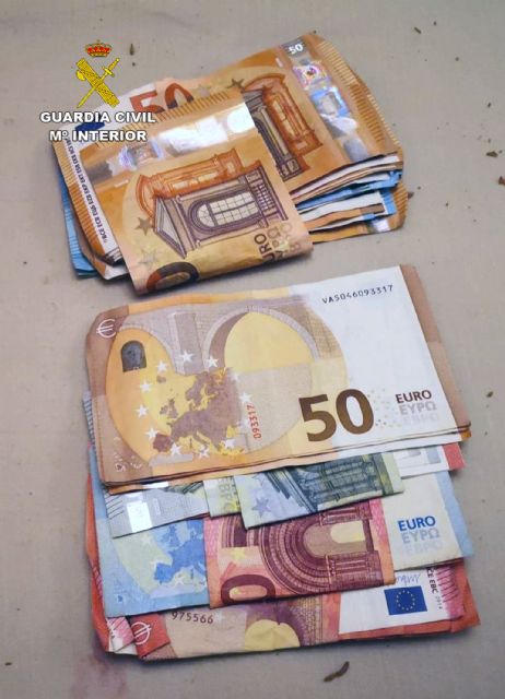 La Guardia Civil desmantela en Fortuna un grupo dedicado al cultivo ilícito de marihuana - 4, Foto 4