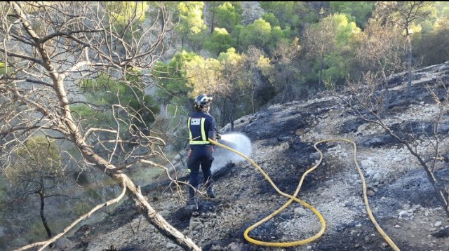 Incendio forestal en Blanca - 1, Foto 1