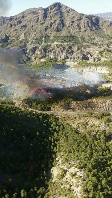 Incendio forestal en Blanca - 2, Foto 2