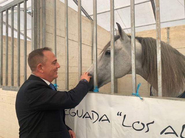 La Región exhibe en la Feria del Caballo de Lorca su apuesta por el sector del ganado equino - 1, Foto 1