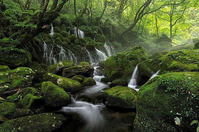 Hacia una alimentación más saludable y sostenible: 4 iniciativas que demuestran que es posible - 1, Foto 1