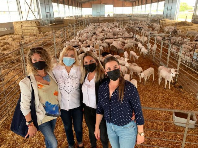 El PP urge al Gobierno de España la elaboración de un 'Plan para la promoción de las Mujeres del Medio Rural' - 1, Foto 1