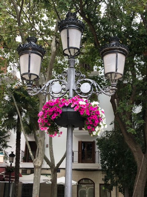 El Ayuntamiento de Lorca procede a la colocación de medio centenar de maceteros colgantes para seguir embelleciendo las calles y plazas del municipio - 2, Foto 2