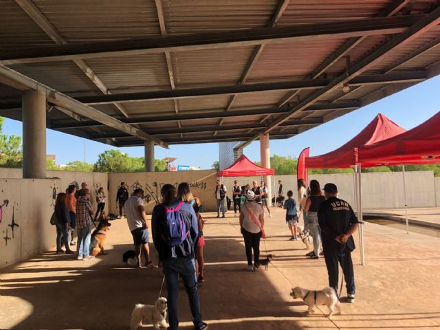 Gran éxito del segundo taller gratuito de adiestramiento de perros - 1, Foto 1