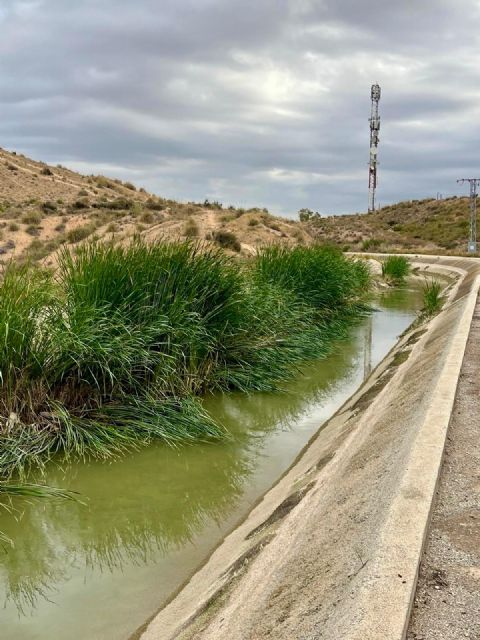 El Ayuntamiento de Lorca reclama a la Confederación Hidrográfica del Segura la limpieza urgente del canal del Trasvase - 3, Foto 3