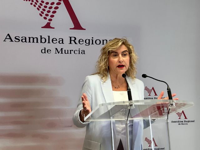 Carmina Fernández: “Es vergonzoso que el PP también use los daños ocasionados por la dana para confrontar” - 1, Foto 1